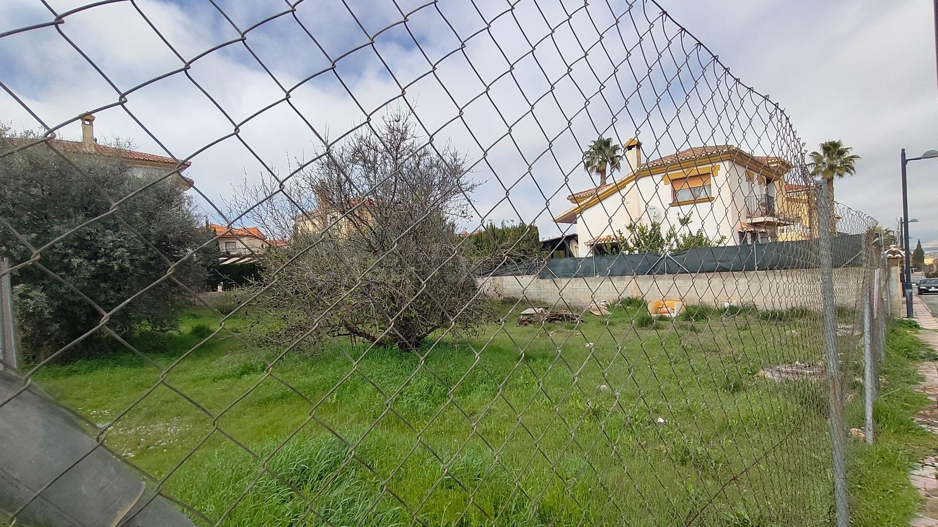 VENTA DE PARCELA COMPLETAMENTE LLANA EN EL VENTORRILLO CON P - foto 5
