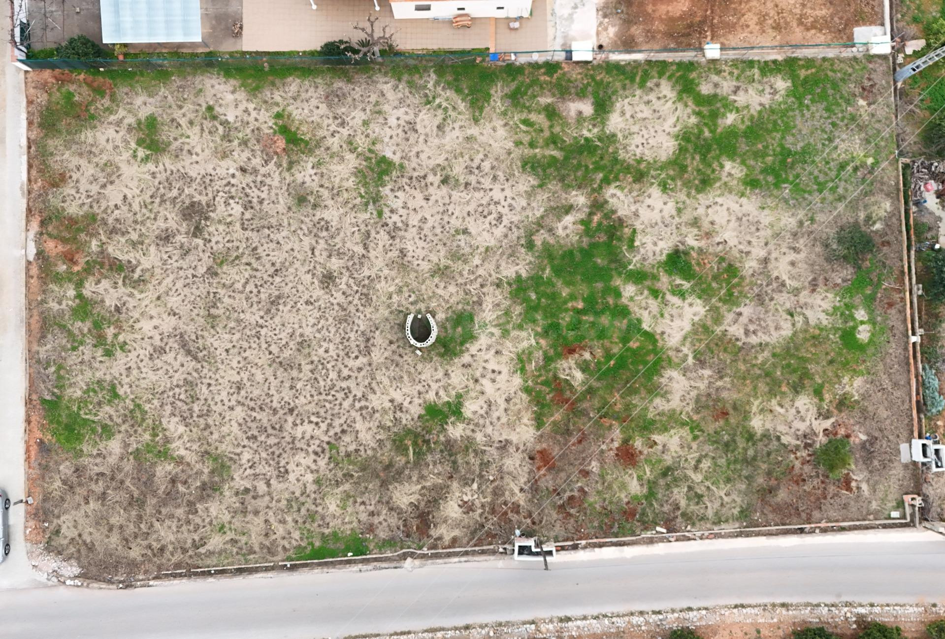 Terreno Rústico de 1.800 m2 en Marchuquera, Palma de Gandía