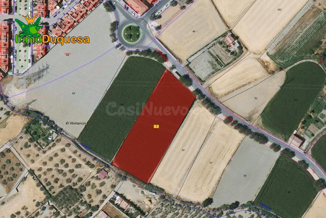 Terreno rústico de 5000 m2. en Hijar (Las Gabias)