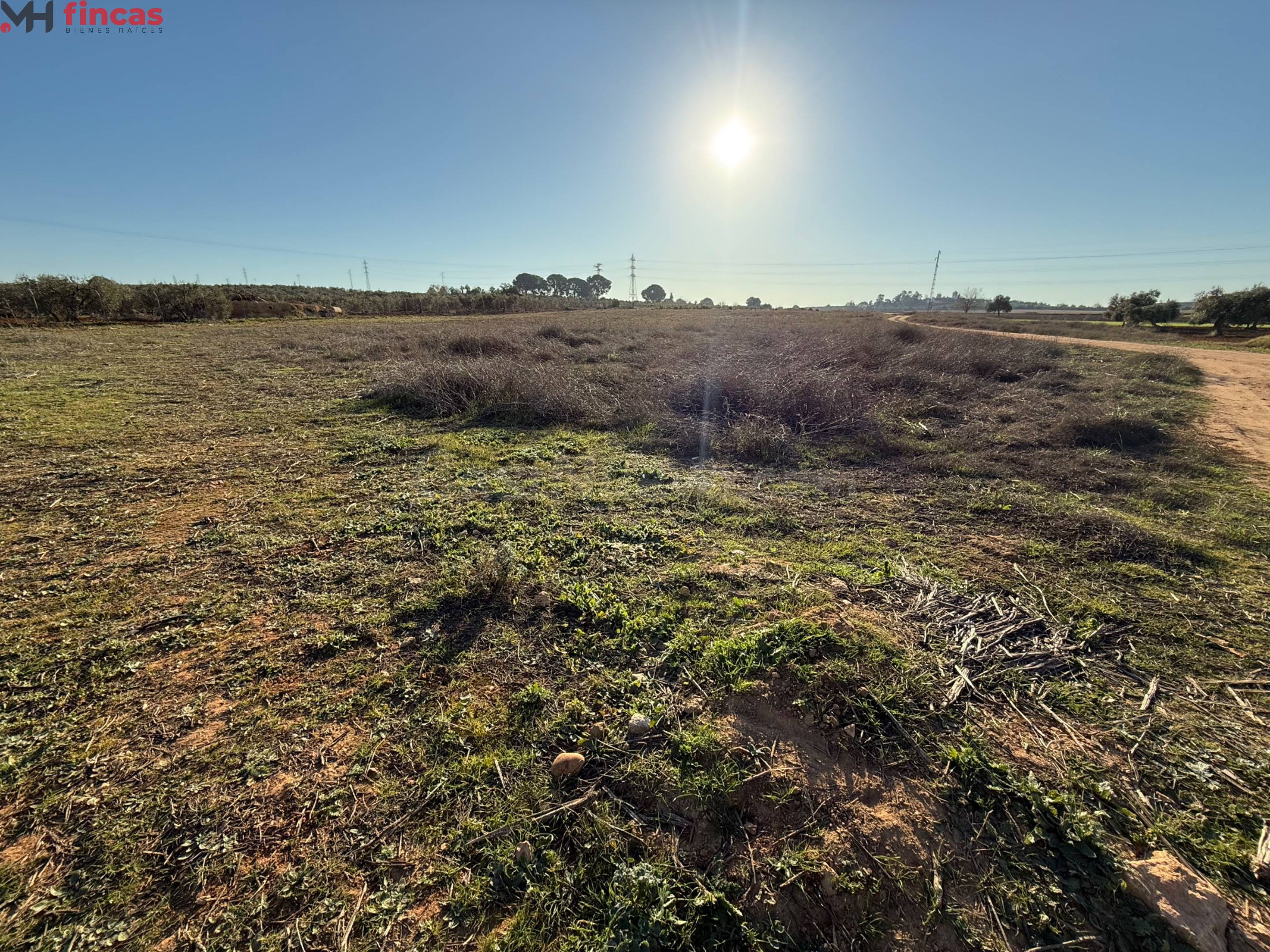 Inversión Destacada en Carmona, Sevilla  16.000Mt rústicos - foto 5
