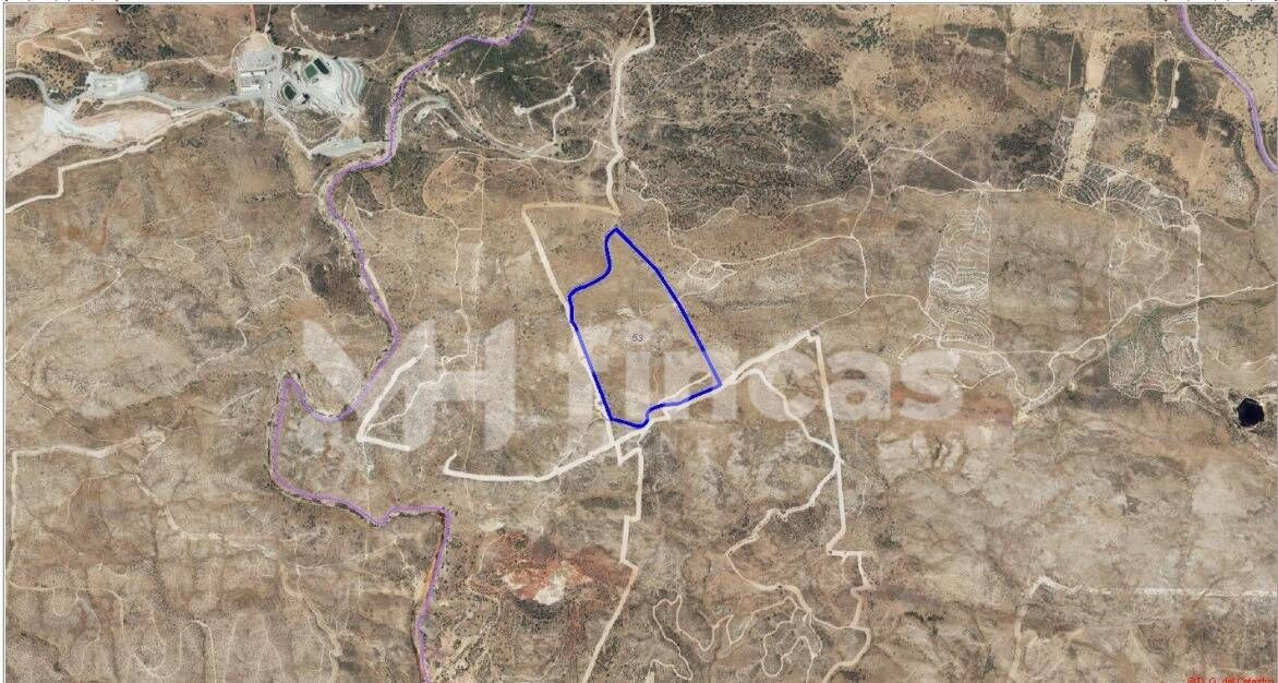 FINCA CHARNECA · 30 hectáreas con manantial, vallado y caza  - foto 2