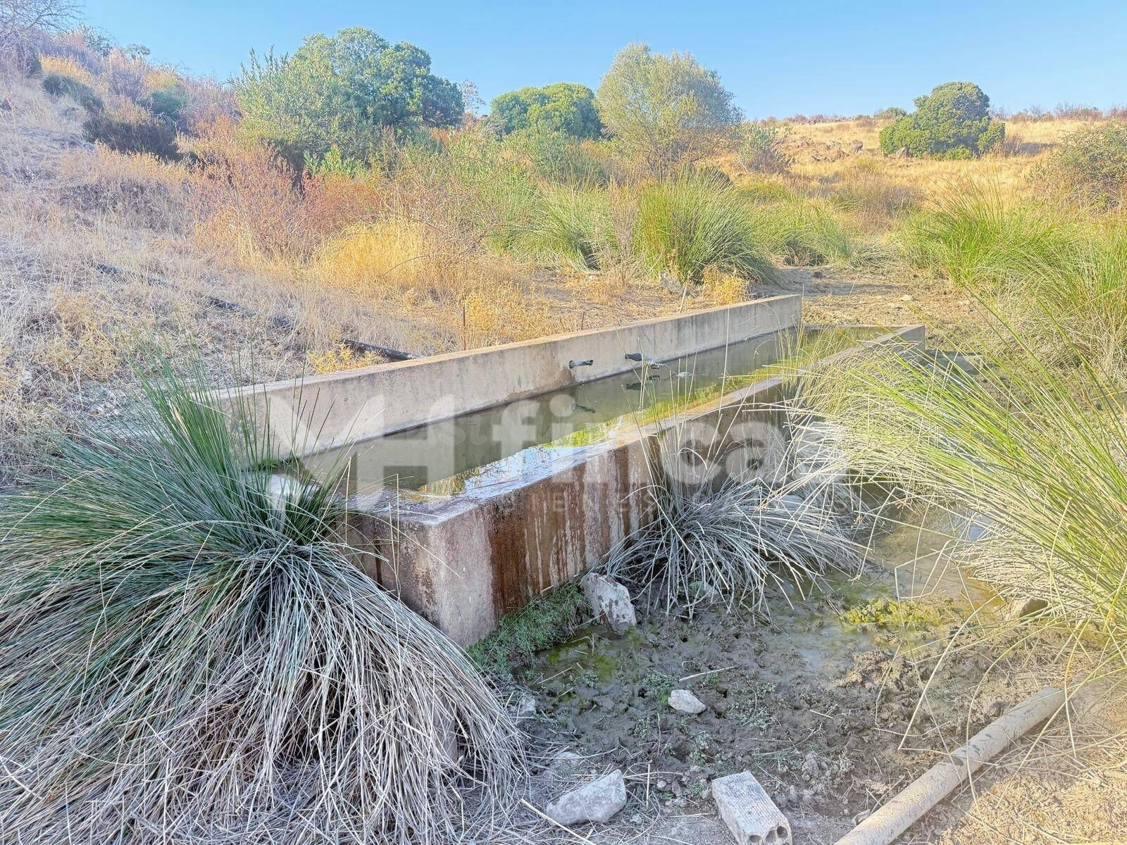 FINCA CHARNECA · 30 hectáreas con manantial, vallado y caza  - foto 3