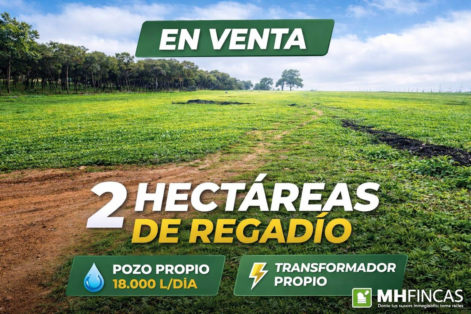 2 HECTÁREAS DE REGADÍO CON POZO PROPIO Y TRANSFORMADOR | INVERSIÓN AGRÍCOLA PREMIUM -MAIRENA DEL ALCOR