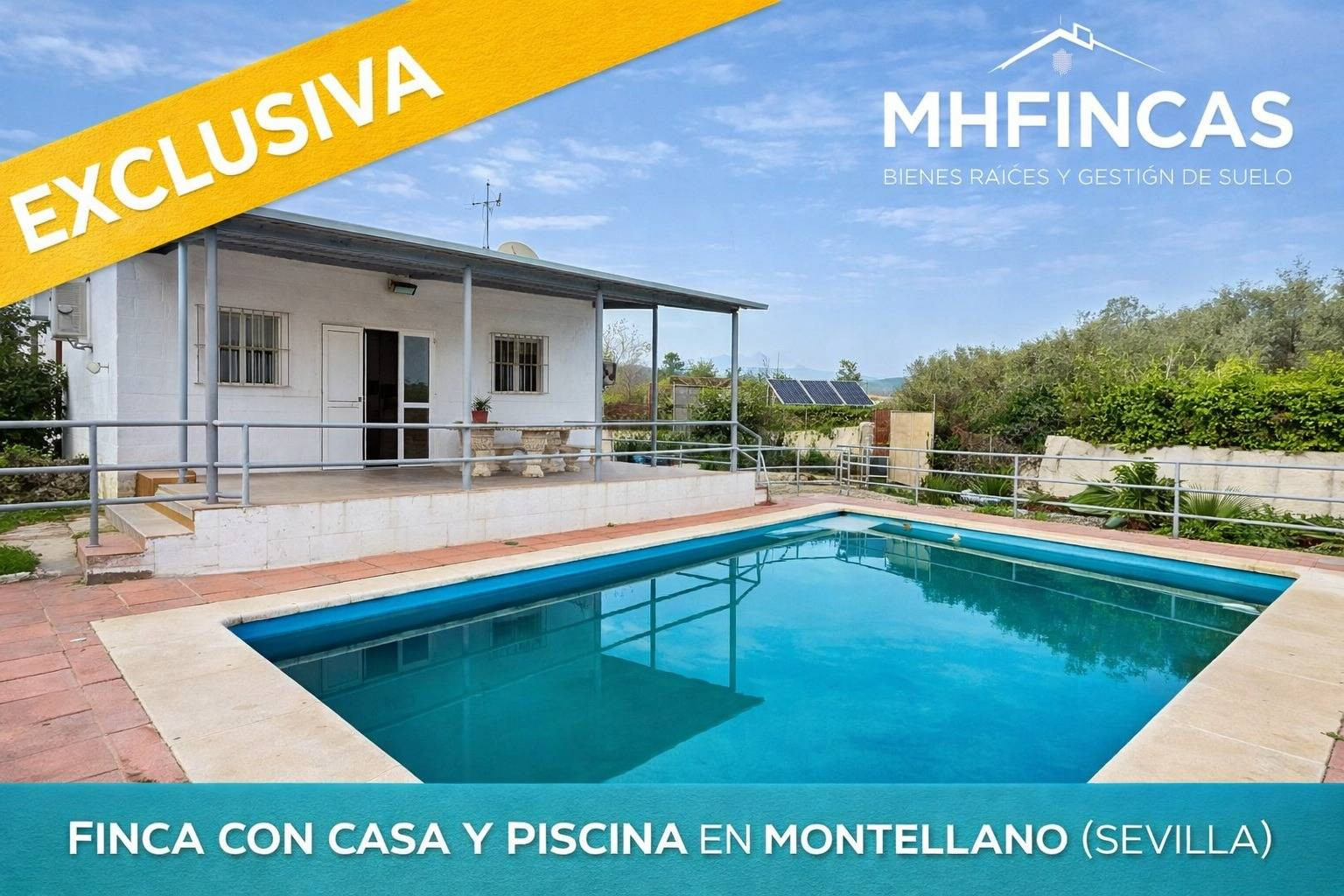 Finca rústica con vivienda y piscina en Montellano | Parcela con agua de pozo y energía solar (EL CORONIL) SEVILLA ¡¡ posibilidad de permuta!!