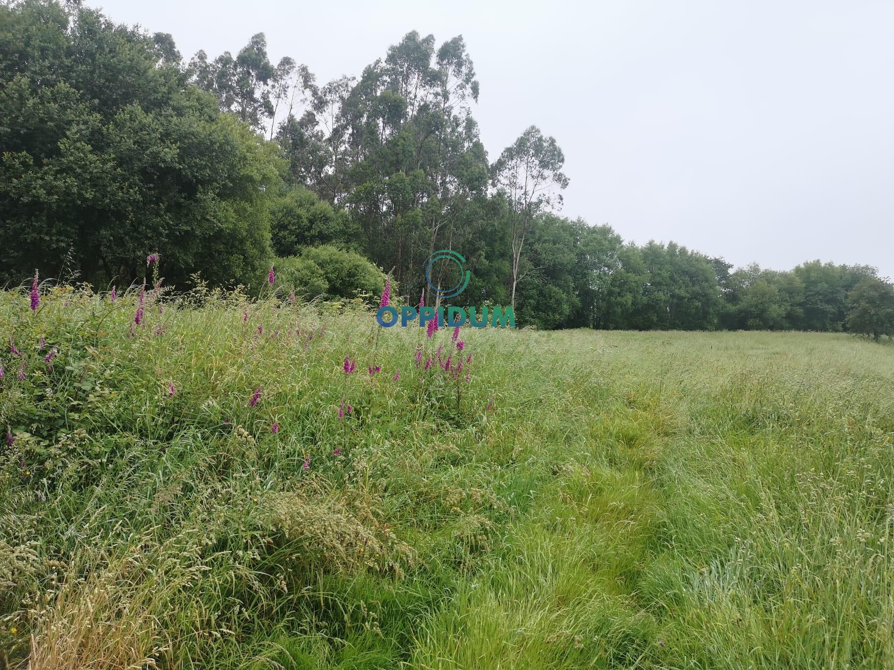 Terreno urbanizable en Santiago – Zona Amio, junto al mercad - foto 3