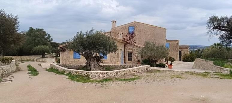 Finca única en Montuïri: 31,7 acres exclusivos y plantación de Olivos con rentabilidad