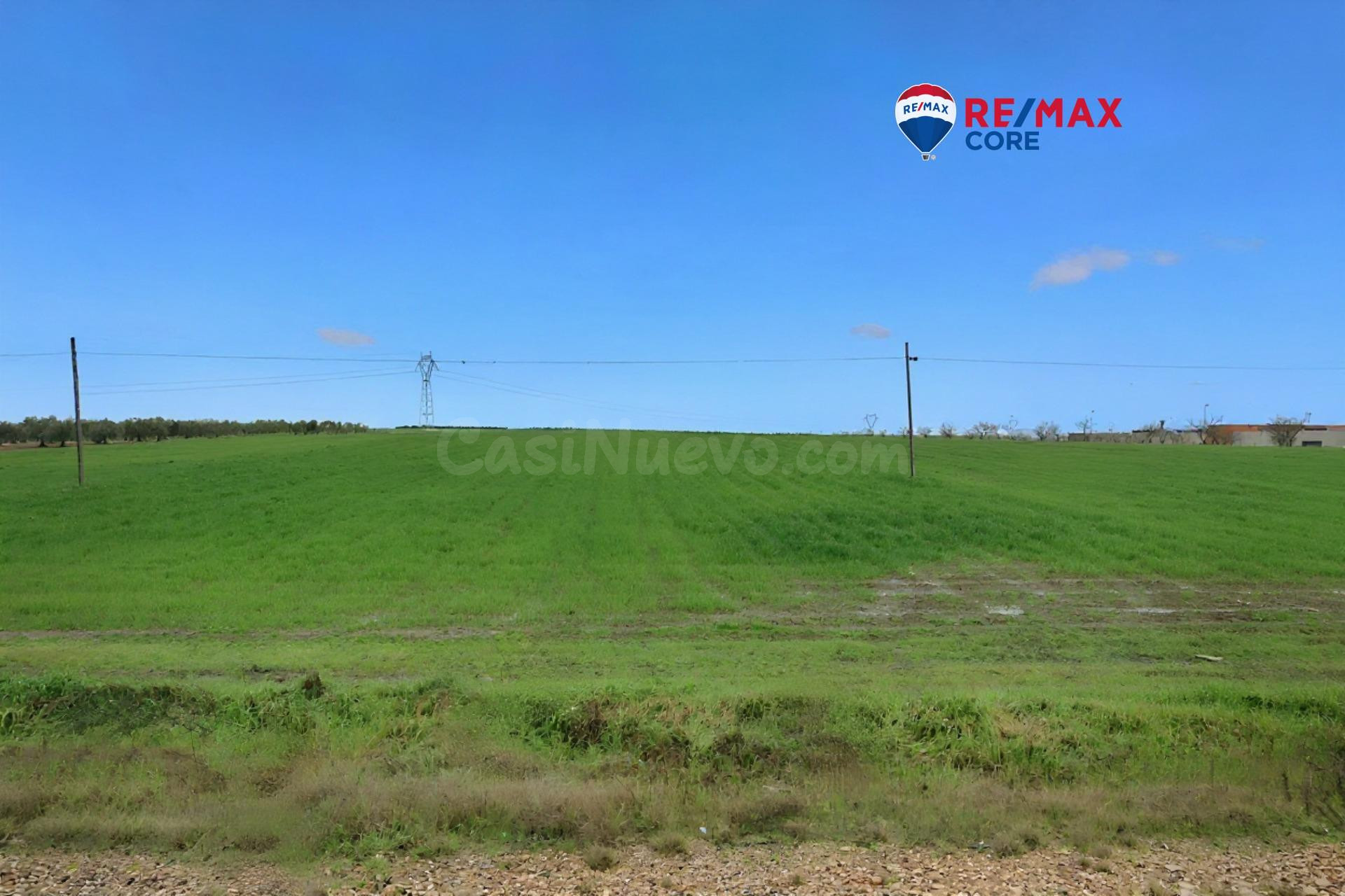 Magnifico y Amplio Terreno como una gran Oportunidad Comerci - foto 4