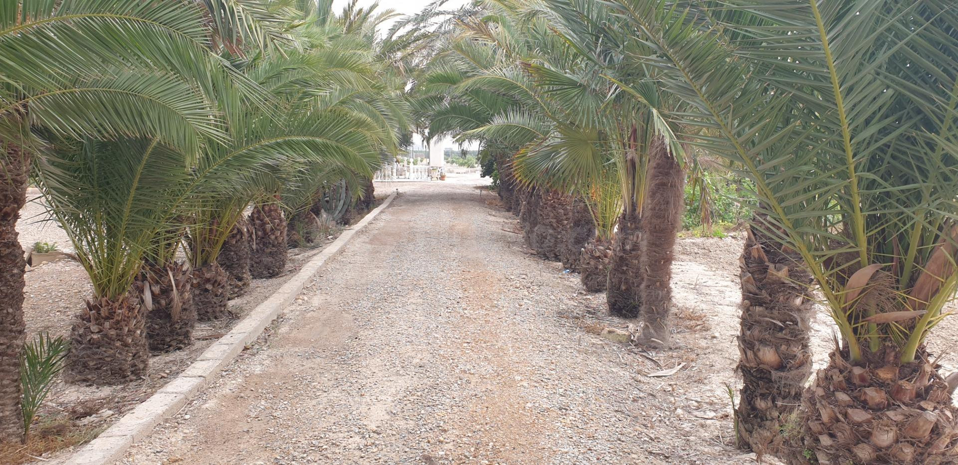 Casa de Campo a 7 Km. de Orihuela ,de 292 metros cuadrados - foto 4