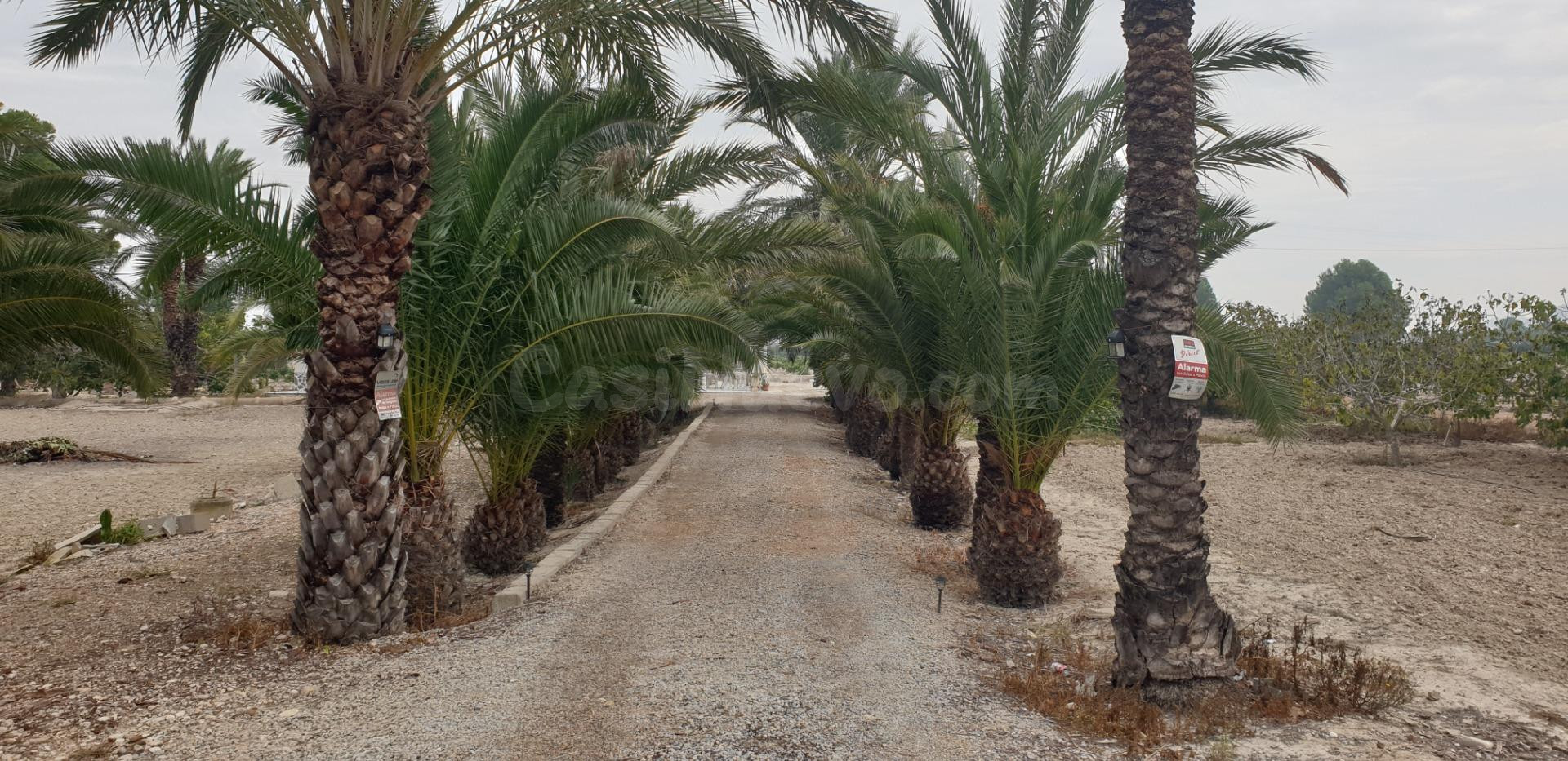 Casa de Campo a 7 Km. de Orihuela ,de 292 metros cuadrados - foto 5
