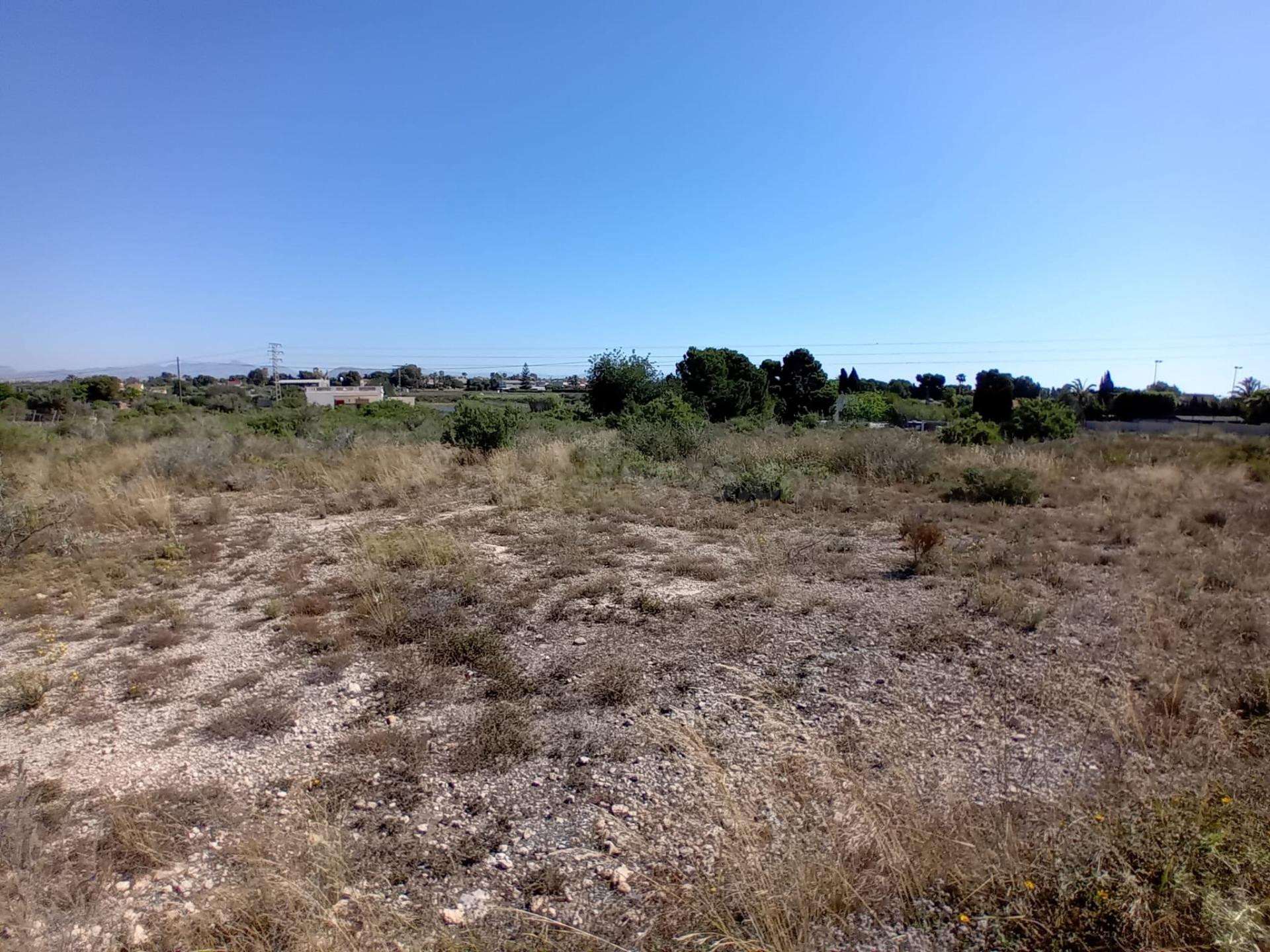 Terreno en Valverde, Elche