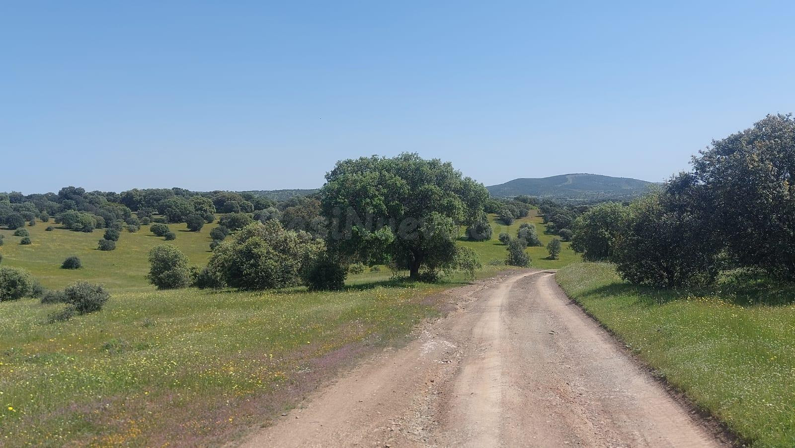 Finca de 8 hectáreas en Aldeaquemada
