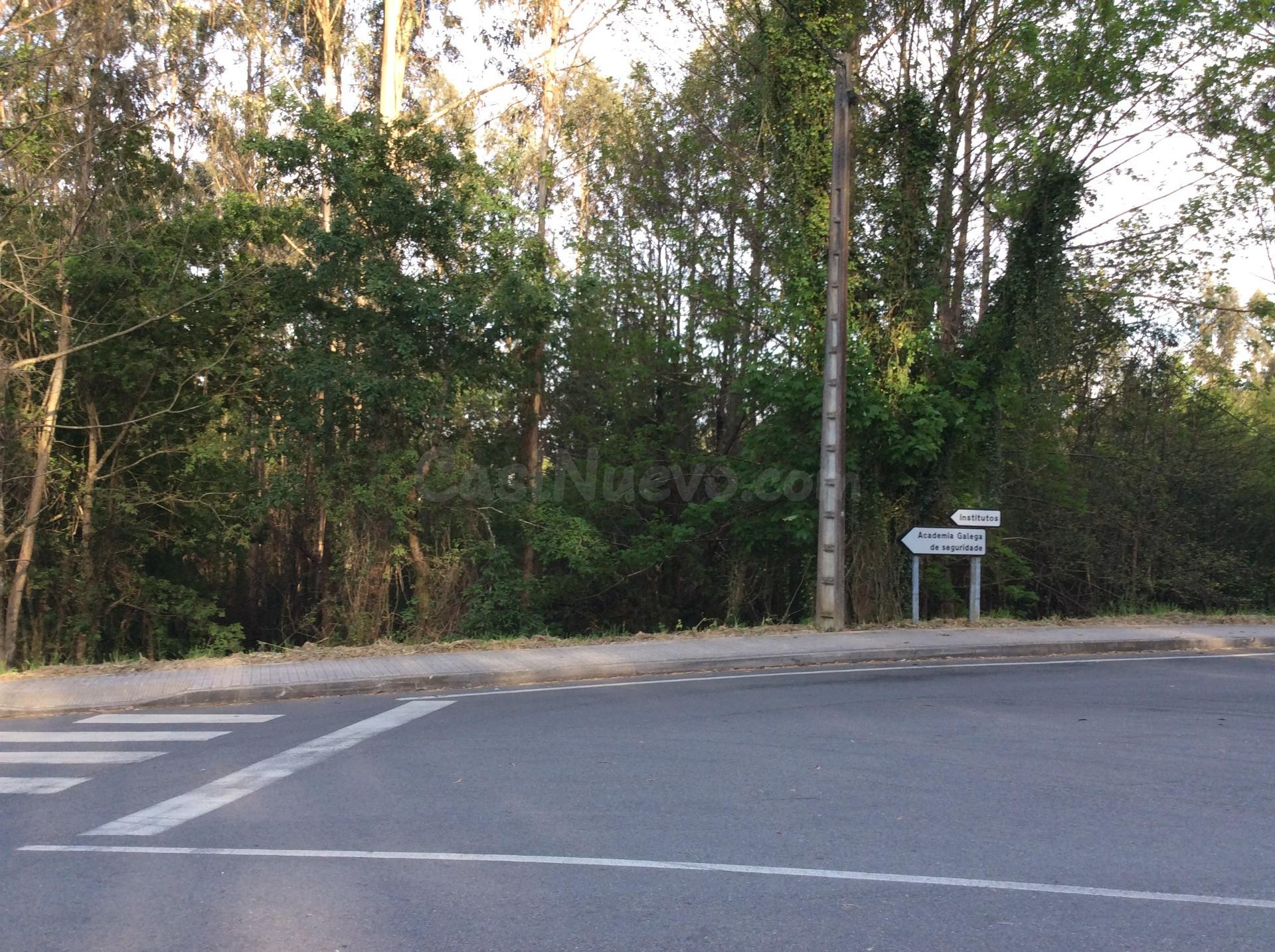 Vistamar Galicia comercializa en exclusiva PINAR en A Estrad - foto 4