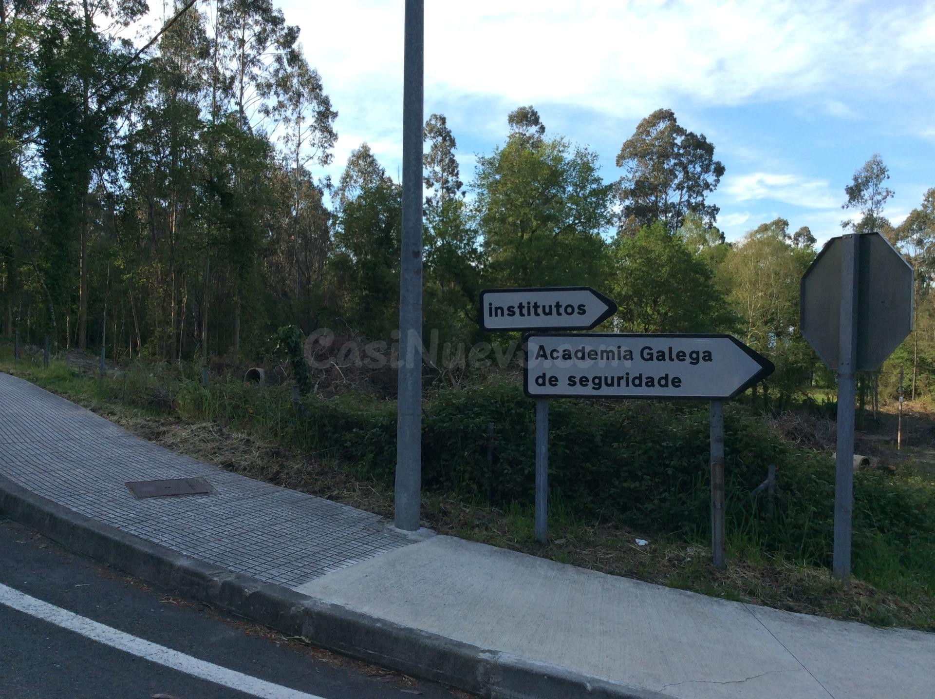 Vistamar Galicia comercializa en exclusiva PINAR en A Estrad - foto 5
