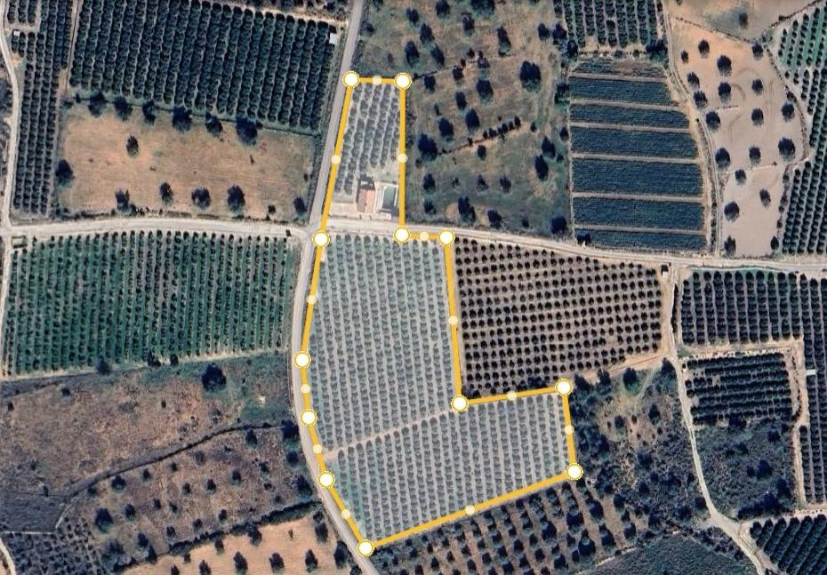 Chalet en Lliria con 16 mil metros de naranjos
