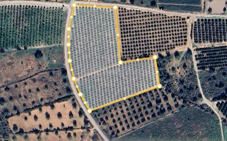 Excelente Parcela Rural Agropecuaria en Lliria con Naranjos Productivos
