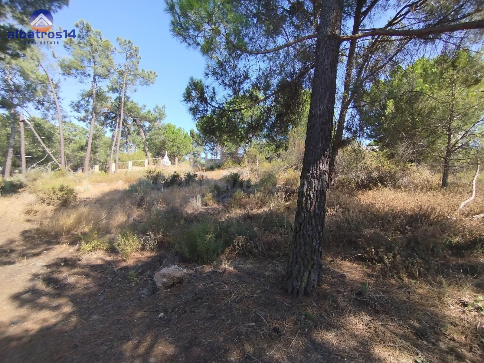 Venta de Parcela Urbana en Esquina - Pinar de la Bota, La Re - foto 5
