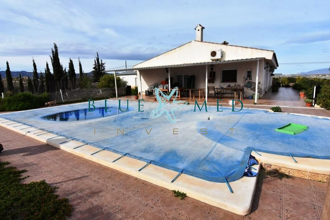 FINCA CON CASA GRANDE, PARCELA Y ARBOLES FRUTALES