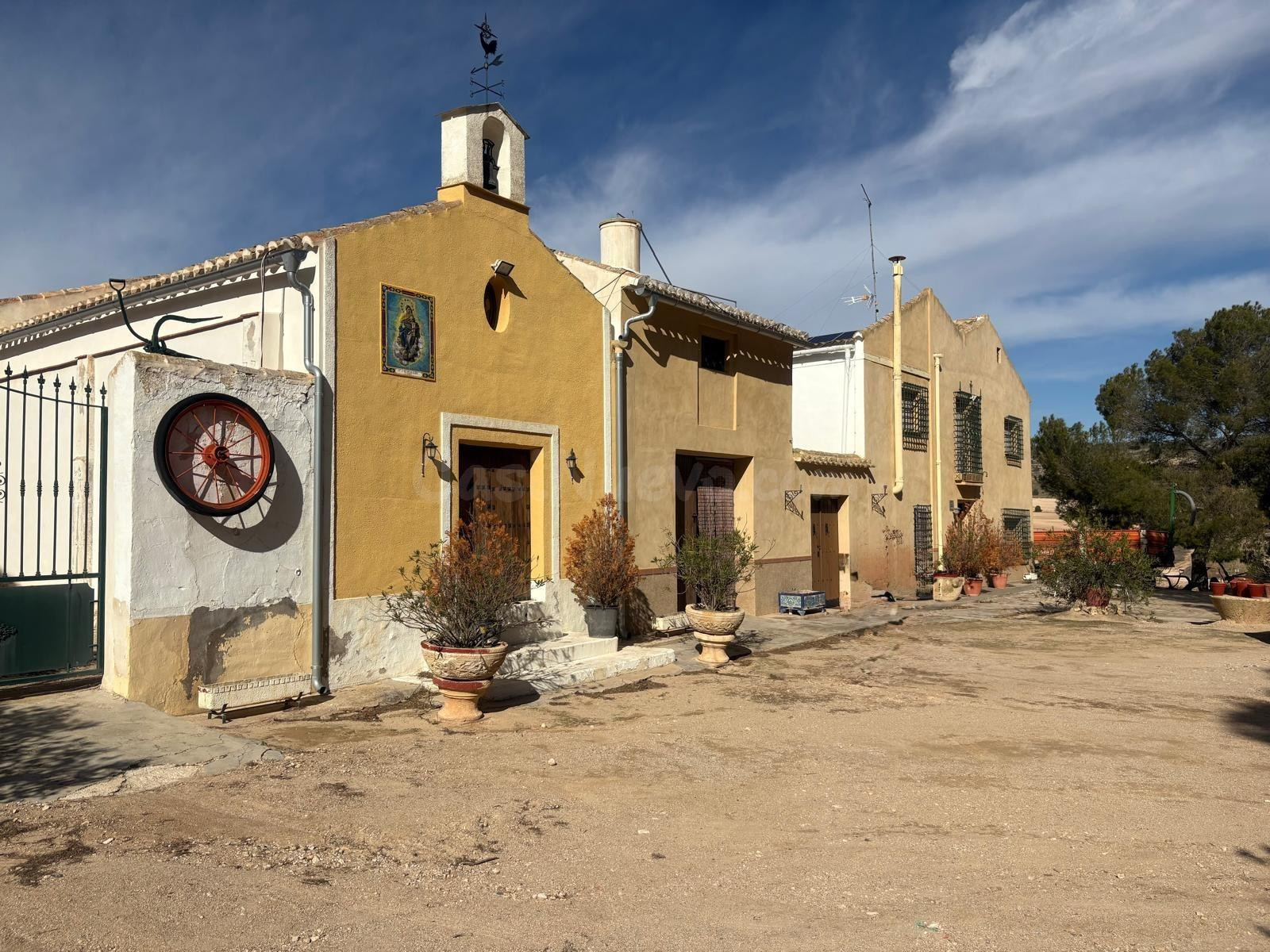 Finca Rústica en Jumilla en plena producción