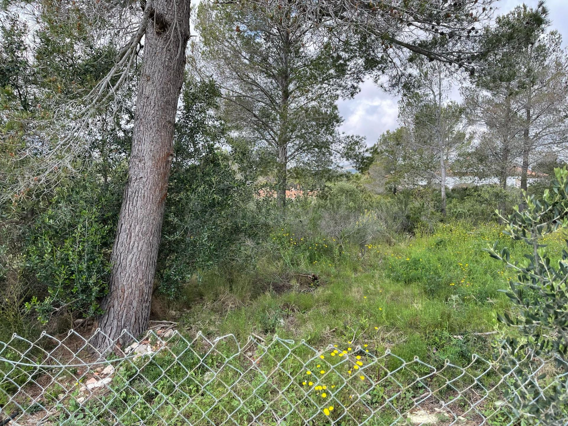 SUELO URBANO EN MONT-ROIG DEL CAMP (CASALOT EL) (TARRAGONA)