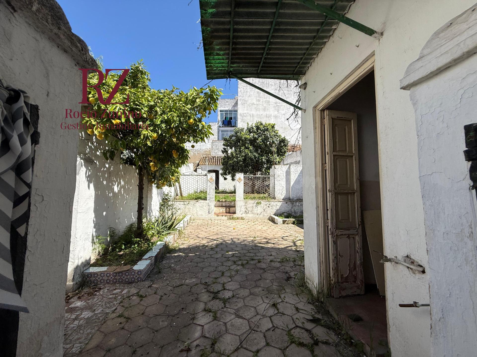 Joya de 1900 con alma de jardín: crea el refugio de tus sueños en el corazón de la Villa