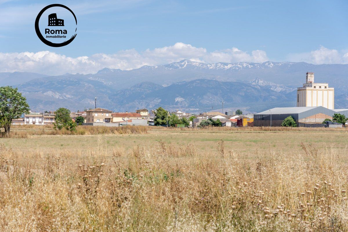 PARCELA EN SANTA FE (GRANADA)