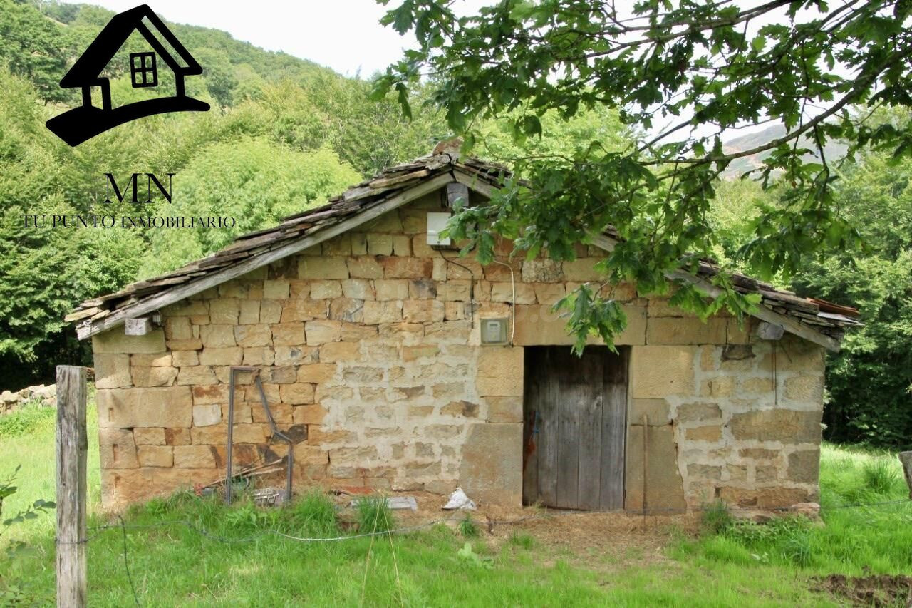 CABAÑA CON FINCA DE 10.000M2 EN LUENA