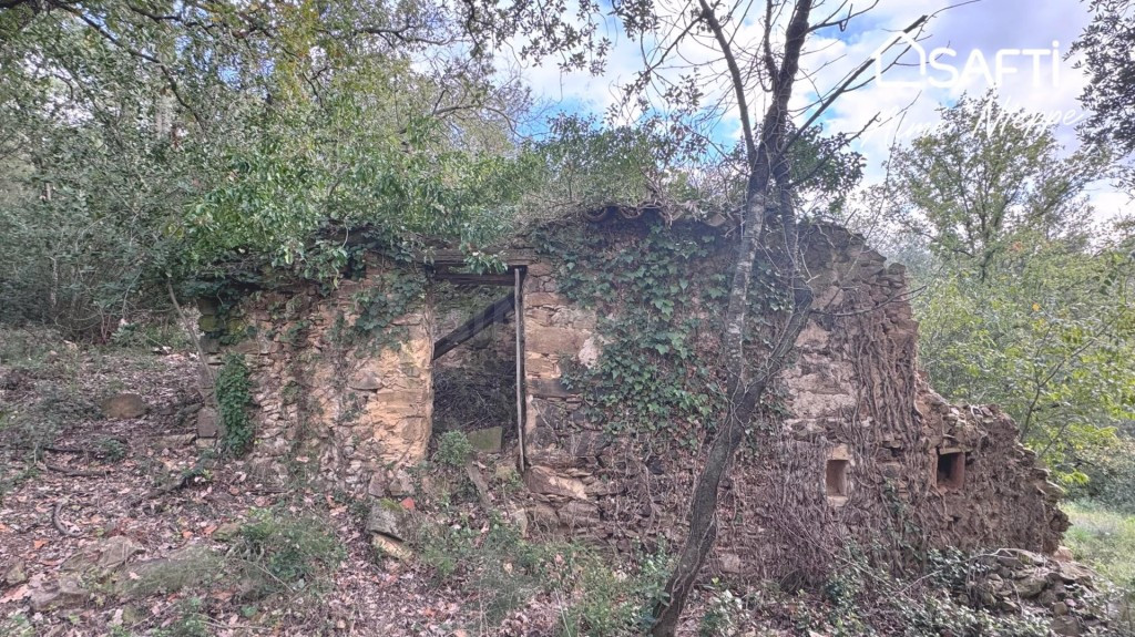 Masía Para Reconstruir - Pleno Bosque - Vistas Panorámicas.  - foto 3