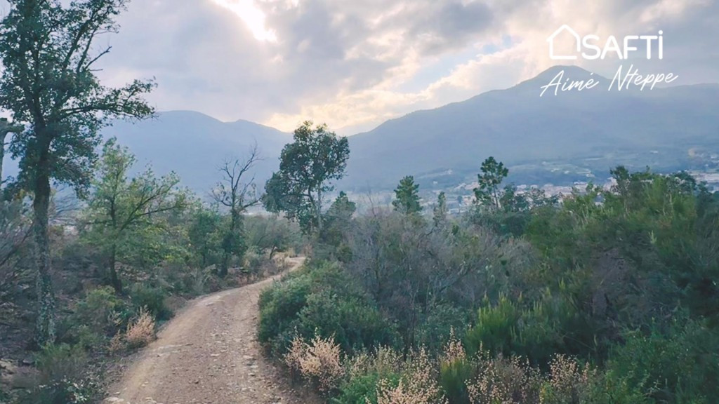 Masía Para Reconstruir - Pleno Bosque - Vistas Panorámicas.  - foto 4