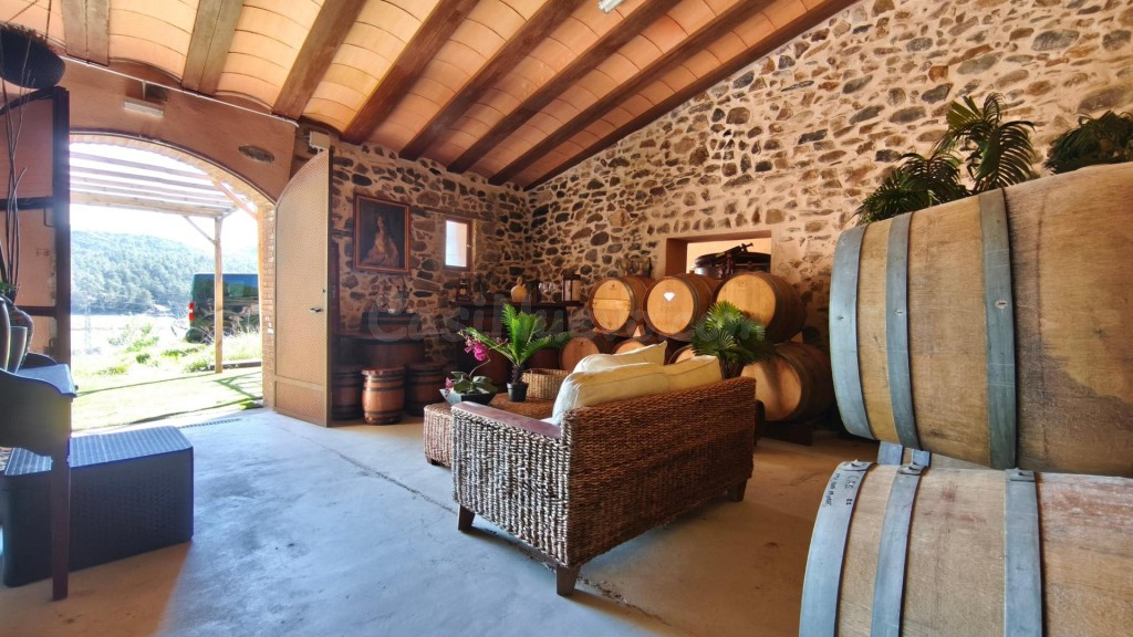 Un Viñedo Boutique en el Priorat – Cree su propio vino de au - foto 4