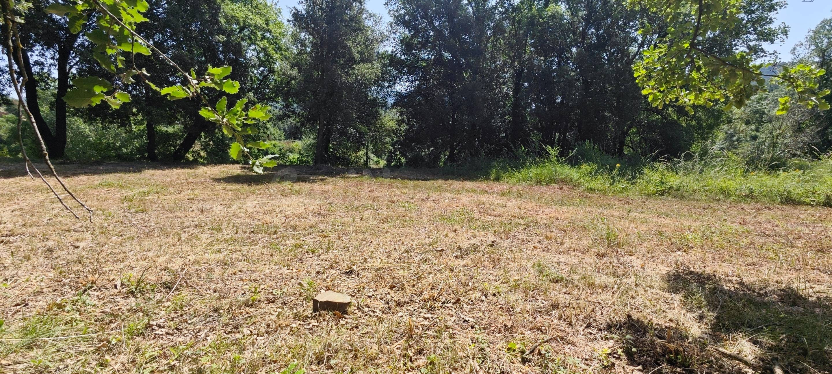 El lienzo perfecto donde el sol y la naturaleza dan forma a tus sueños