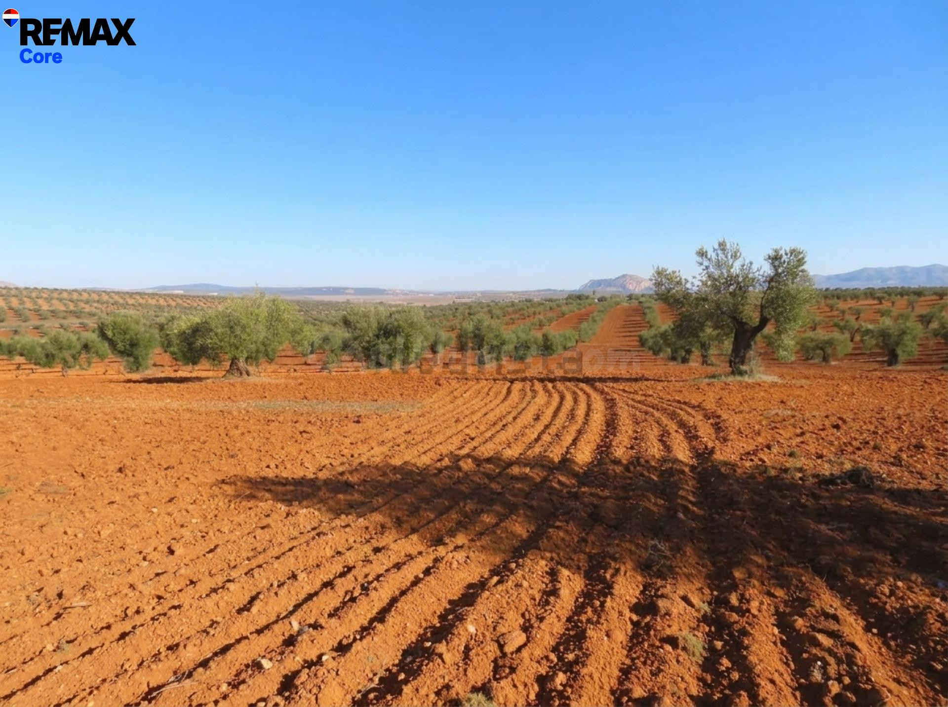 Espectacular Finca de 120 Ha en Tierra de Barros: Máxima Ren