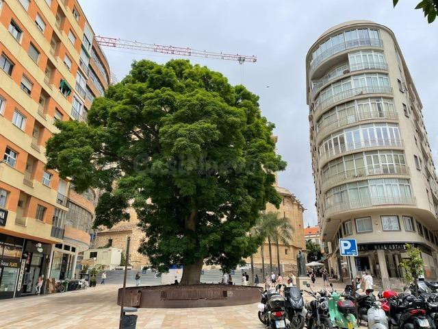 GARAJE DOBLE EN EL CENTRO HISTÓRICO