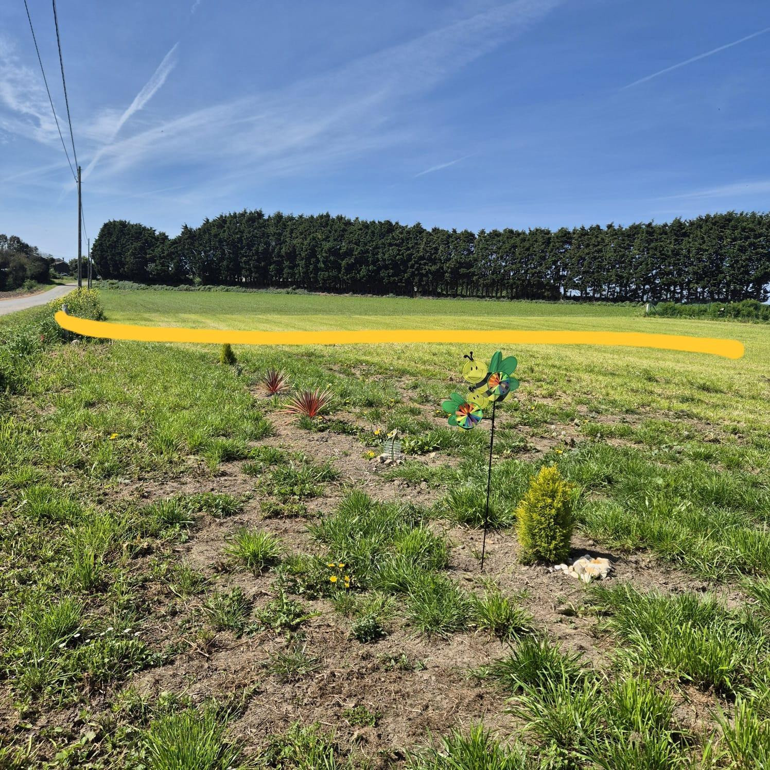 PARCELA EN LA ZONA DE LOS CAMPOS, TAPIA DE CASARIEGO - foto 3