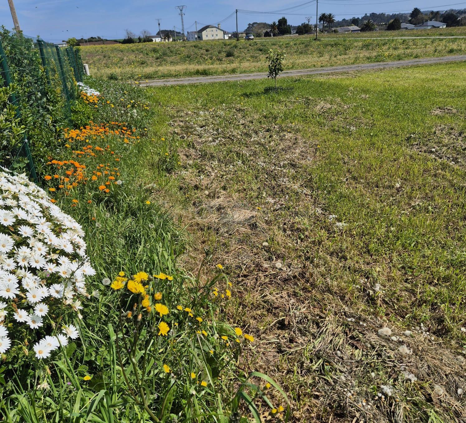 PARCELA EN LA ZONA DE LOS CAMPOS, TAPIA DE CASARIEGO - foto 4