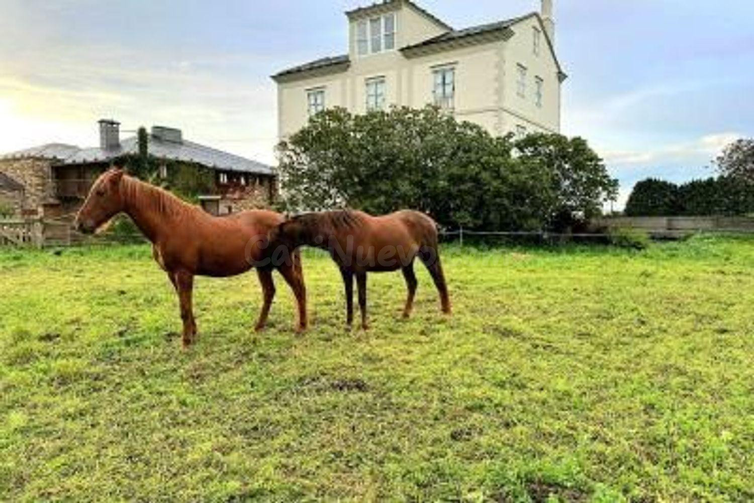PARCELA URBANIZABLE EN SALAVE, TAPIA DE CASARIEGO