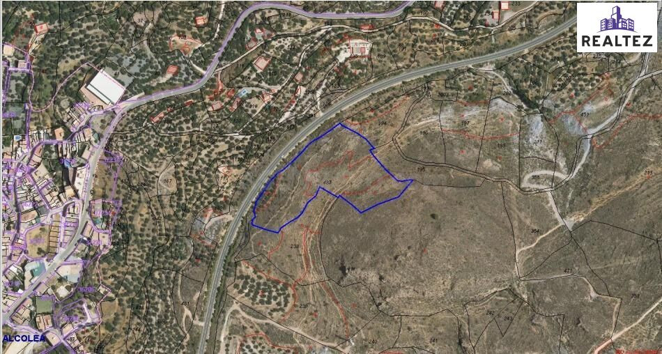 Terreno rústico en venta en Alcolea – 17.000 m2 delante del 