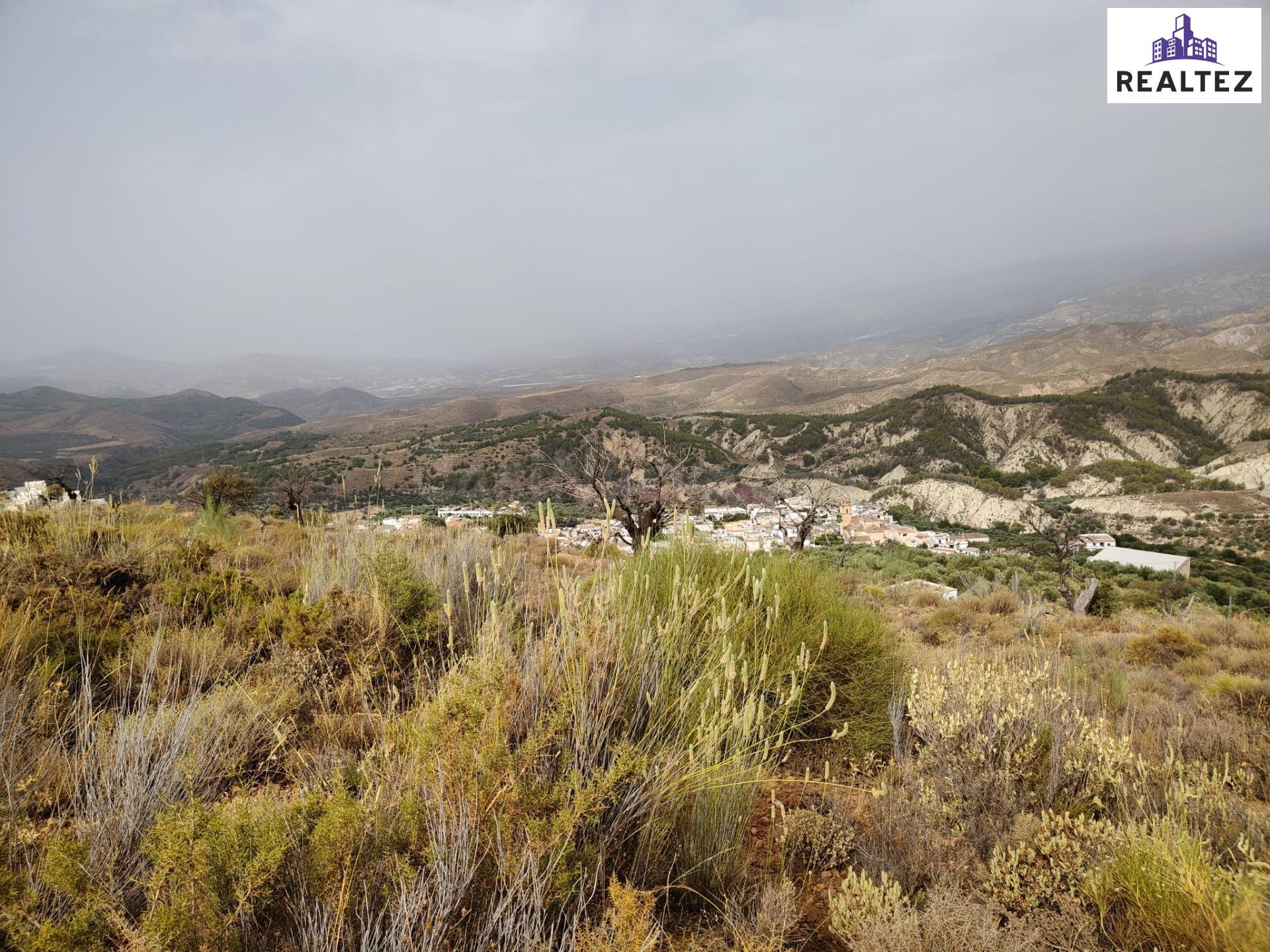 Terreno rústico en venta en Alcolea – 17.000 m2 delante del  - foto 2