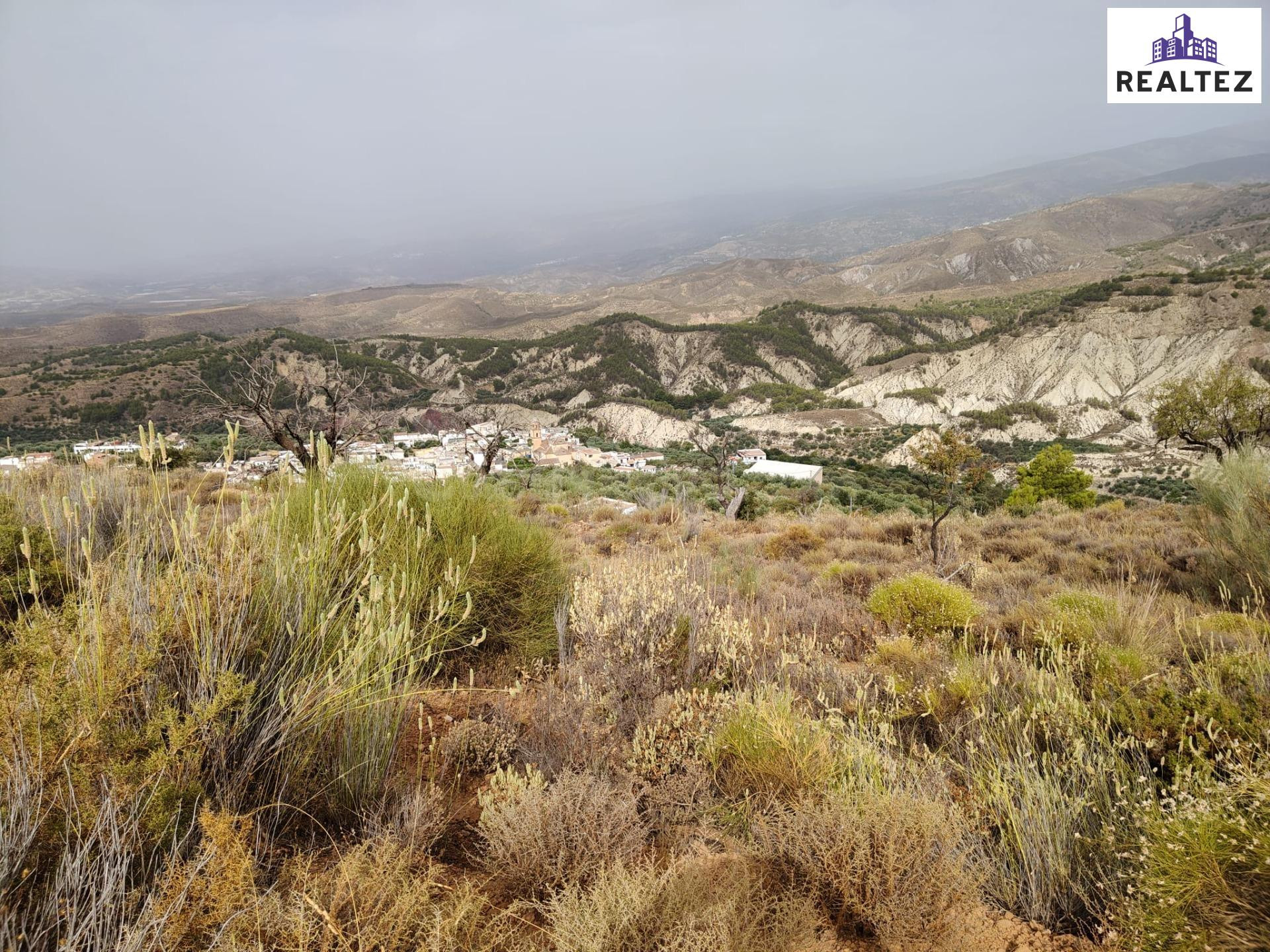 Terreno rústico en venta en Alcolea – 17.000 m2 delante del  - foto 3
