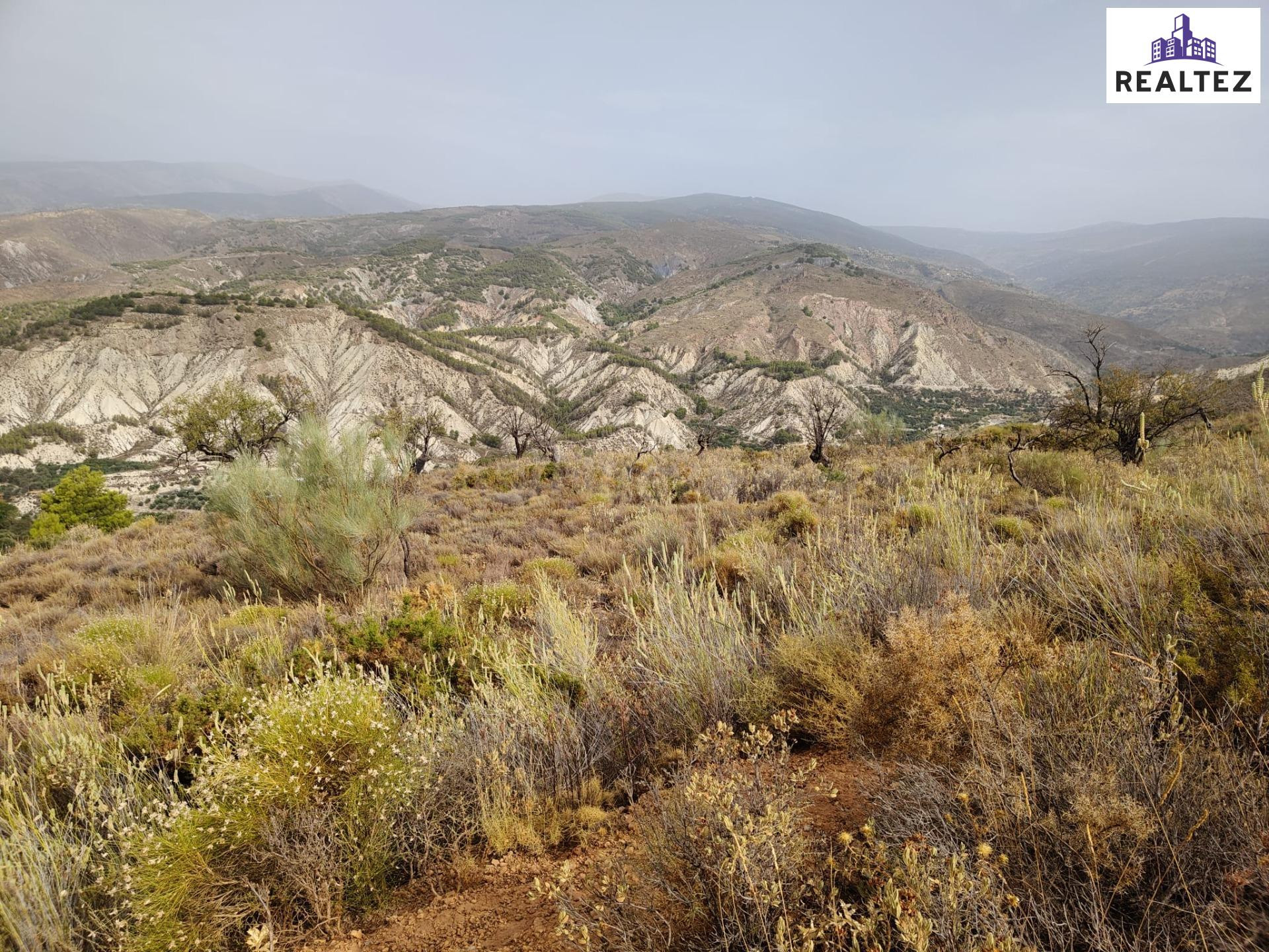 Terreno rústico en venta en Alcolea – 17.000 m2 delante del  - foto 4