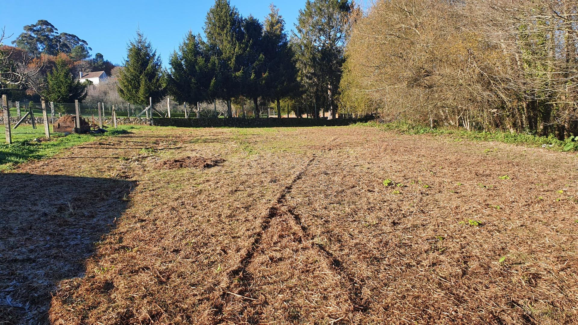 Vistamar Galicia comercializa en exclusiva PARCELA en la zon - foto 3