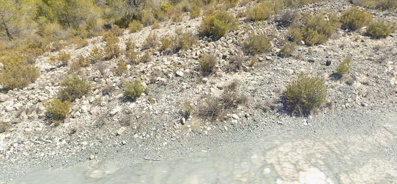 TERRENO EN HONDON DE LOS FRAILES