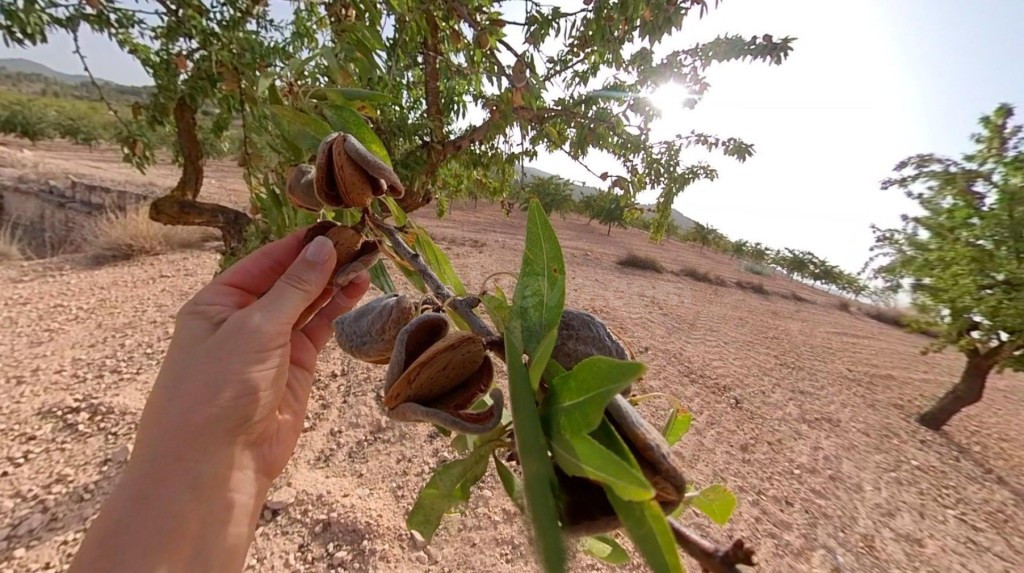 Tu refugio natural con alma y potencial único