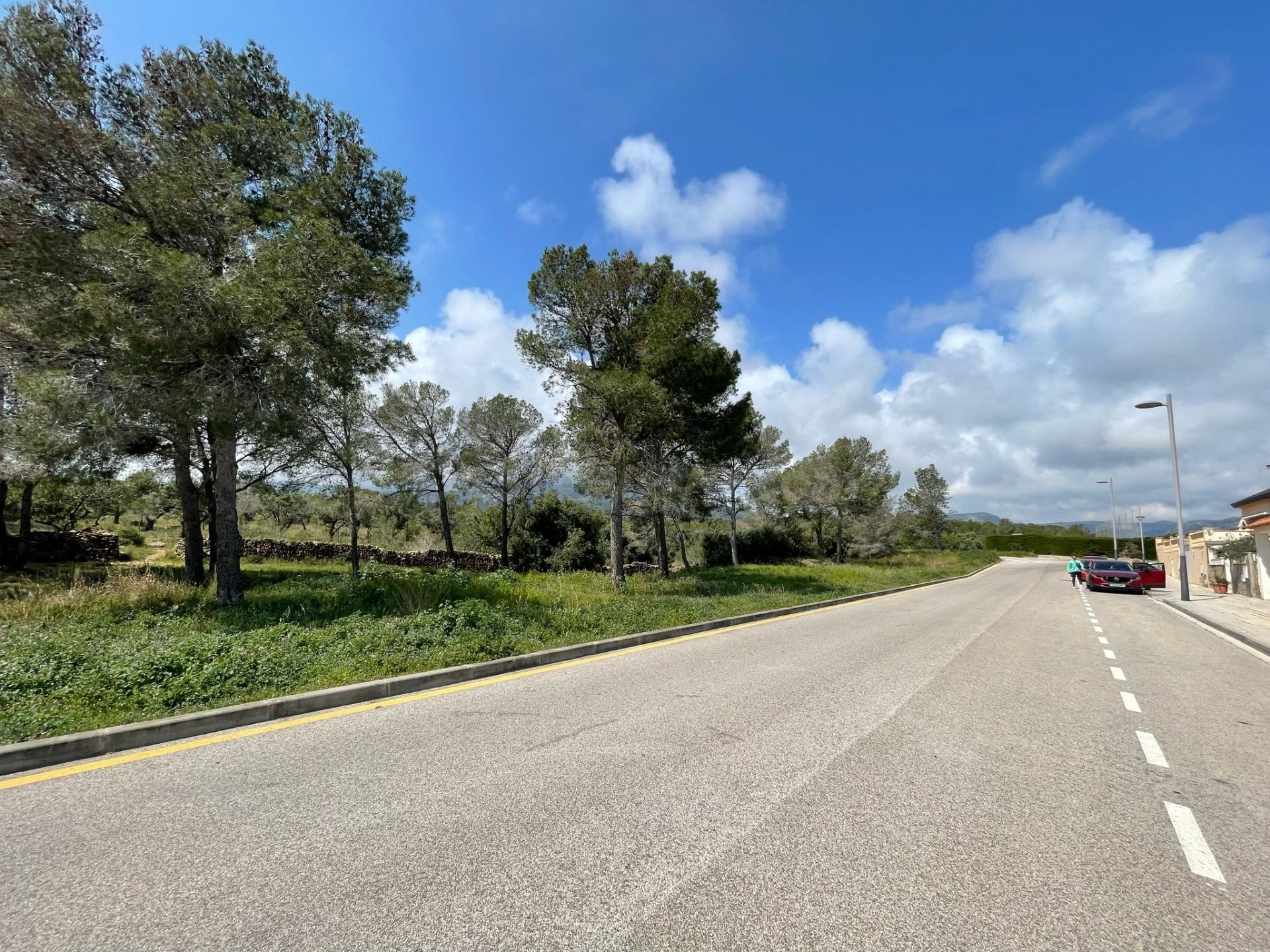 SUELO URBANIZABLE EN PLANA ESPANYOL. MONT-ROIG DEL CAMP (TAR - foto 4