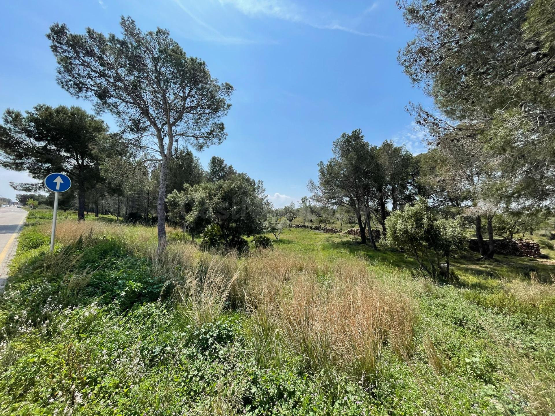 SUELO URBANIZABLE EN PLANA ESPANYOL. MONT-ROIG DEL CAMP (TARRAGONA)