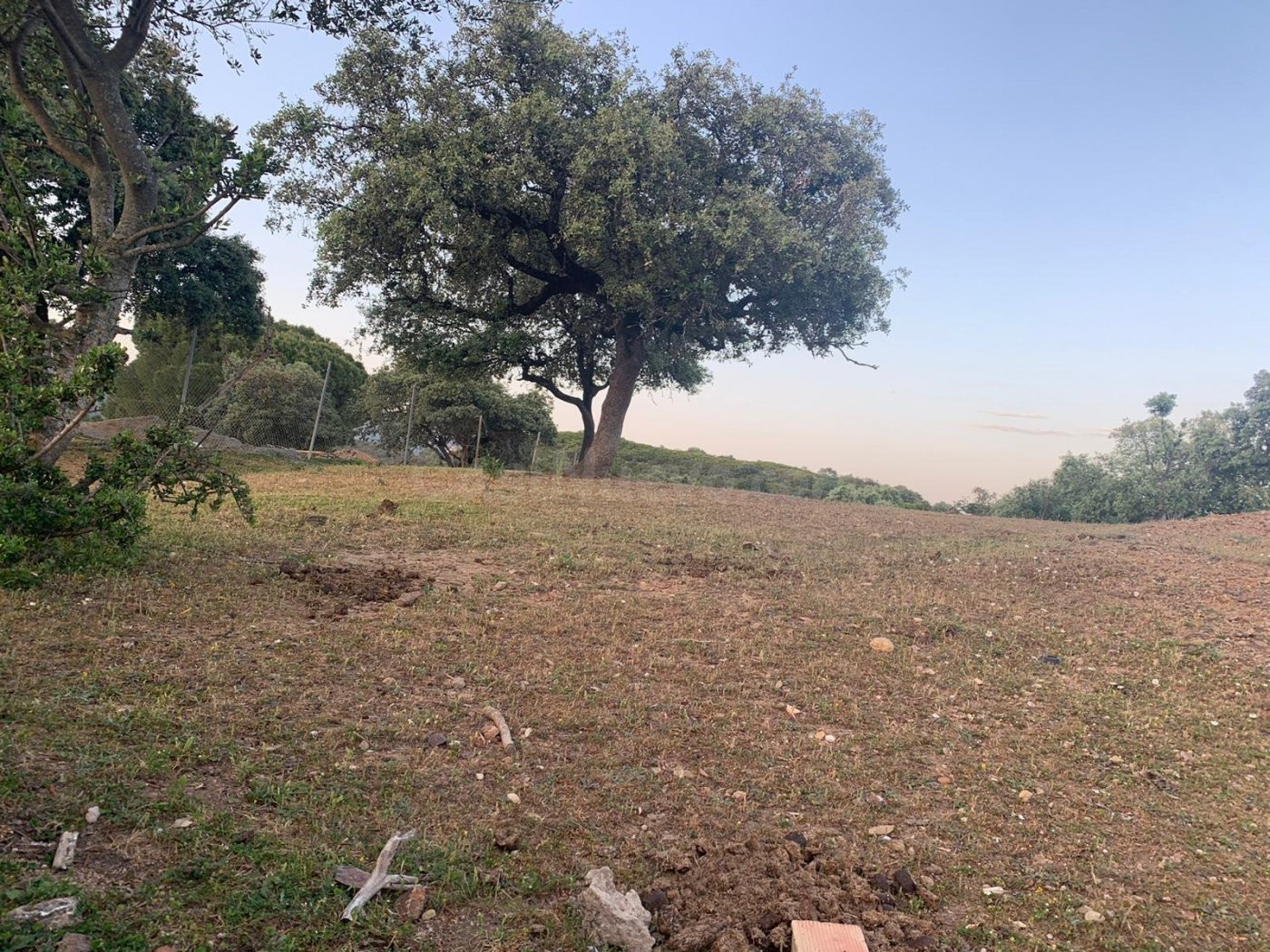 Terreno urbano en venta - Calasancio