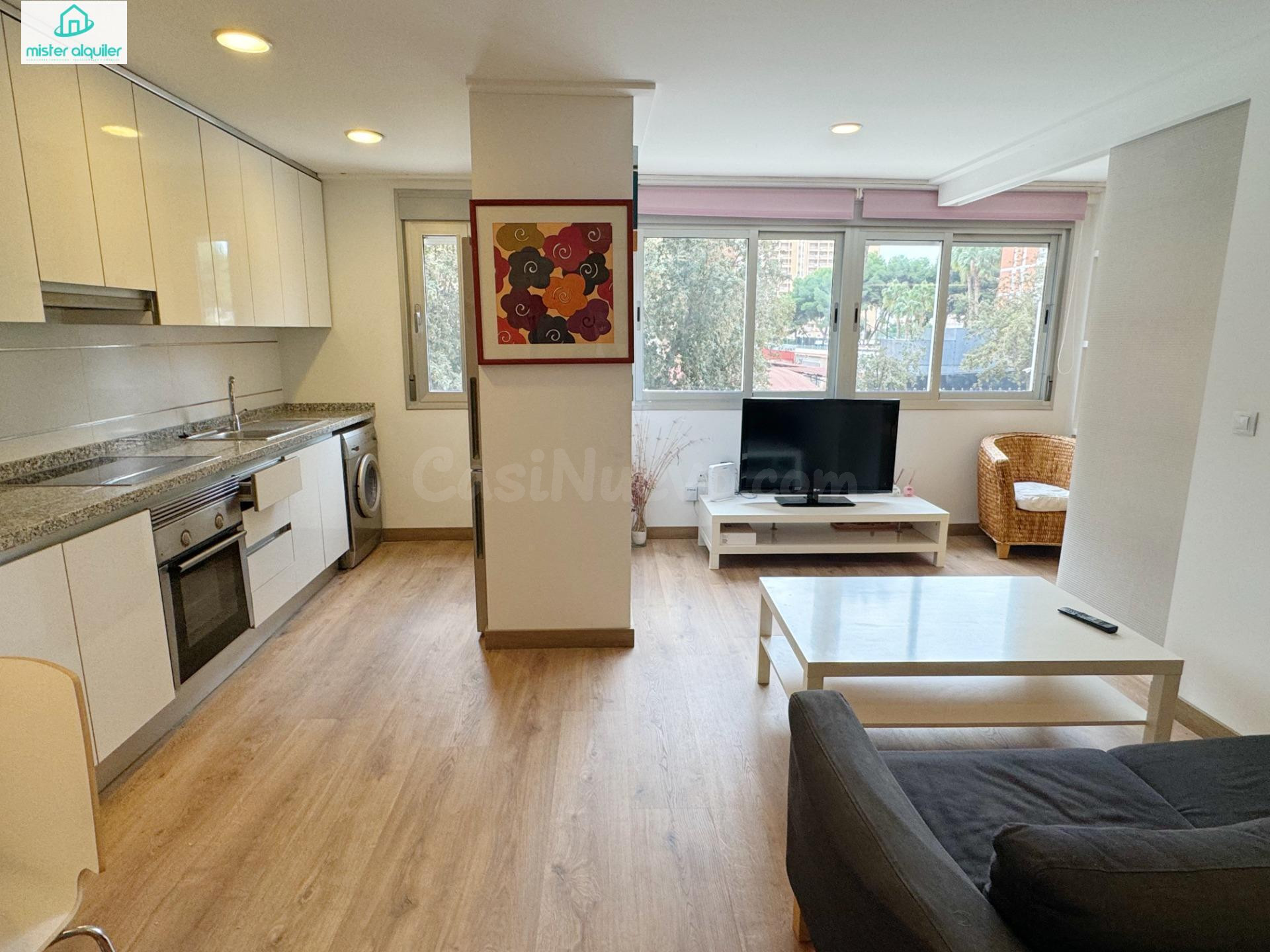 Apartamento 1 habitación 36m² en alquiler - Playa de San Juan