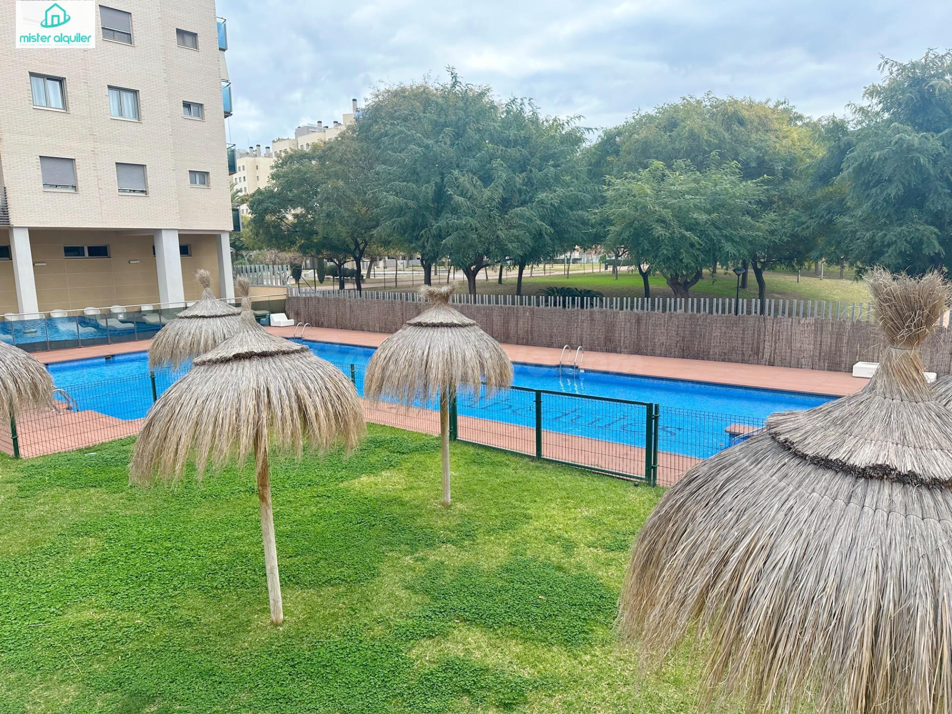 Apartamento 1 habitación 42m² en alquiler - Campello