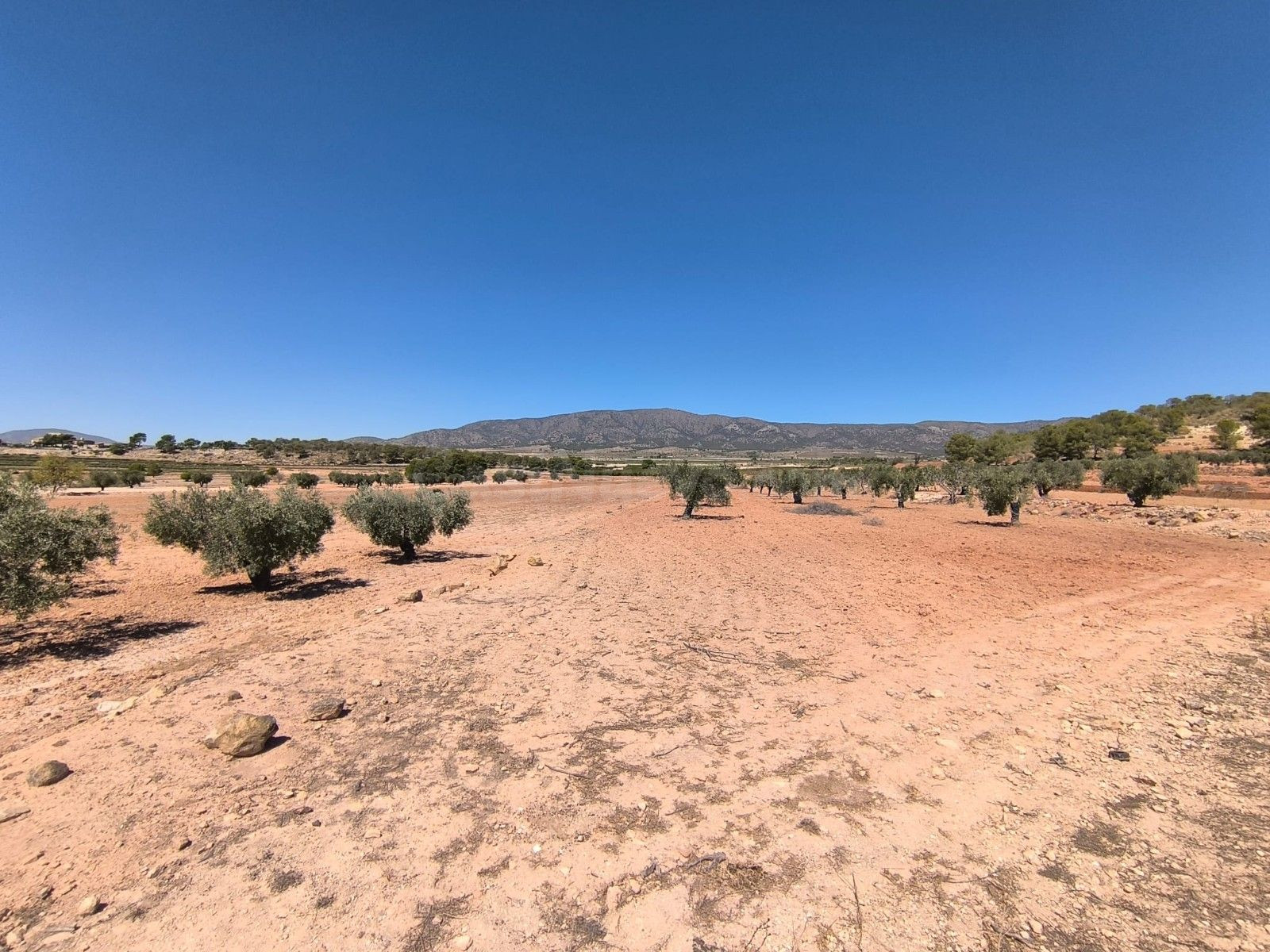 Parcela rural en venta en Monóvar, Alicante
