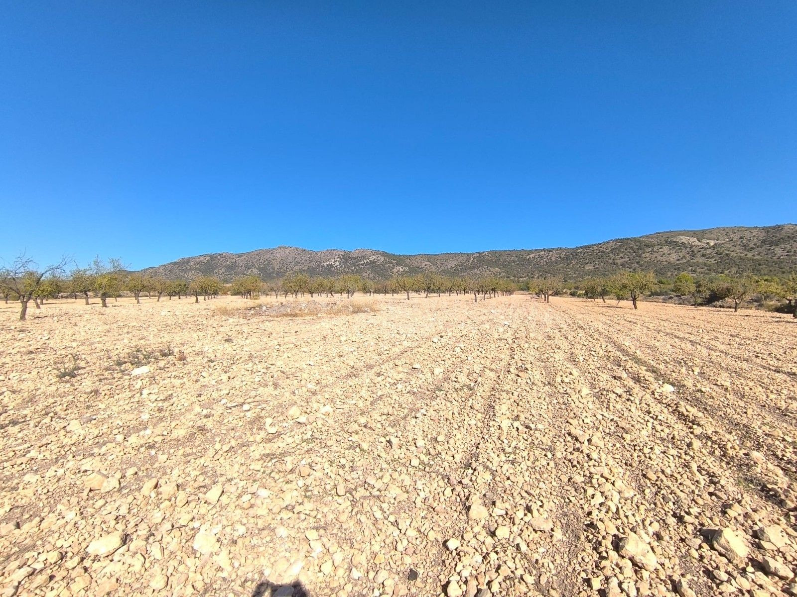 Parcela rural en venta en Pinoso, Comunidad Valenciana