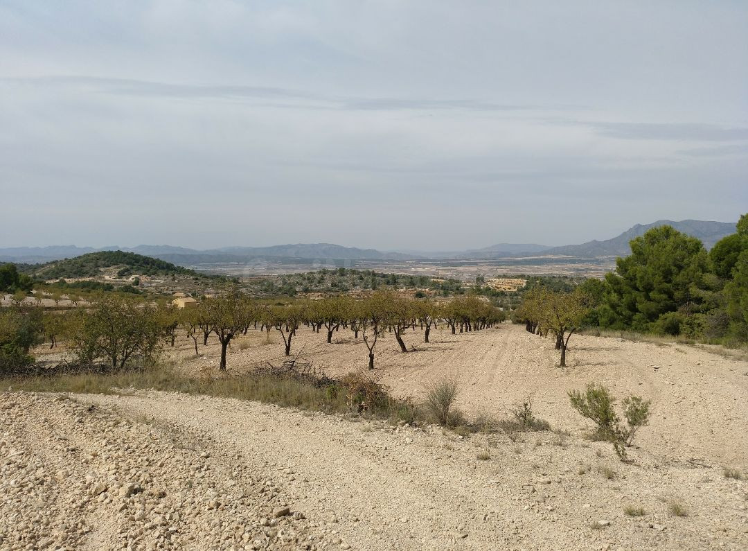Parcela en venta - Abanilla